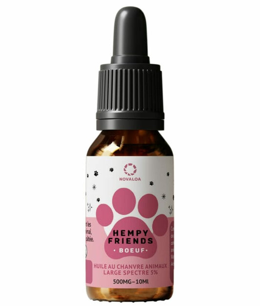 HUILE CBD pour chiens 5% Boeuf